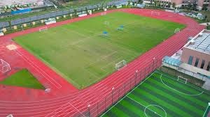 中国女棒老将的赛场智慧