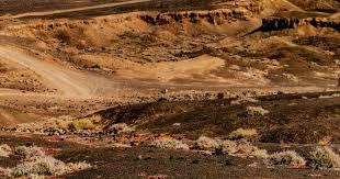 马赛反击质量高